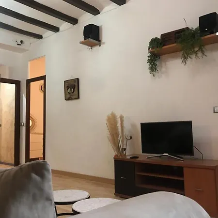 Rustic 2 Bedroom Apartment Poble Sec-2